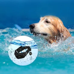 PATPET NFC ID Pet Tag & Lightweight Remote Dog Training Electric Collar, Black, 2 Count -Pawsphoria Sales Store 522894 PT4. AC SS1800 V1668027041