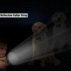 PATPET NFC ID Pet Tag & Lightweight Remote Dog Training Electric Collar, Black, 2 Count -Pawsphoria Sales Store 522894 PT5. AC SS1800 V1657658479