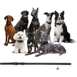 PATPET NFC ID Pet Tag & Lightweight Remote Dog Training Electric Collar, Black, 2 Count -Pawsphoria Sales Store 522894 PT6. AC SS1800 V1668026552