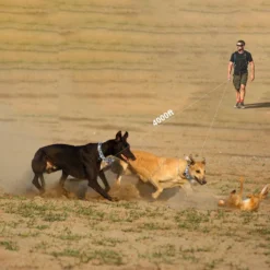 PATPET NFC Pet ID Tag & P920 1300-m Remote Dog Training Electric Shock Collar, Meisai, 2 Count -Pawsphoria Sales Store 522910 PT2. AC SS1800 V1668026617