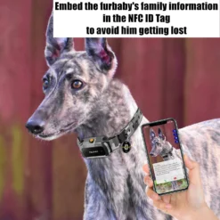 PATPET NFC Pet ID Tag & P920 1300-m Remote Dog Training Electric Shock Collar, Meisai, 2 Count -Pawsphoria Sales Store 522910 PT3. AC SS1800 V1668026554