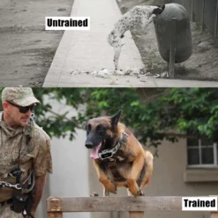 PATPET NFC Pet ID Tag & P920 1300-m Remote Dog Training Electric Shock Collar, Meisai, 2 Count -Pawsphoria Sales Store 522910 PT6. AC SS1800 V1657658479