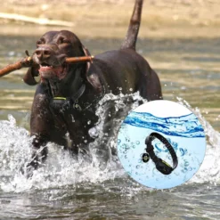 PATPET NFC Pet ID Tag & P910 3000-ft Outdoor Remote Dog Training Shock ECollar, Black, 2 Count -Pawsphoria Sales Store 522926 PT5. AC SS1800 V1668026616