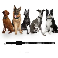 PATPET NFC Pet ID Tag & P910 3000-ft Outdoor Remote Dog Training Shock ECollar, Black, 2 Count -Pawsphoria Sales Store 522926 PT7. AC SS1800 V1668025394