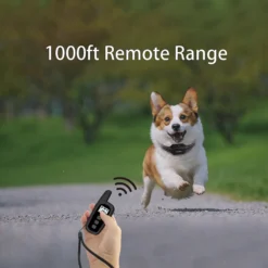 PATPET P360 Mini Remote Small Medium Dog Training Electric Collar, Black, 2 Count -Pawsphoria Sales Store 522942 PT4. AC SS1800 V1652984781