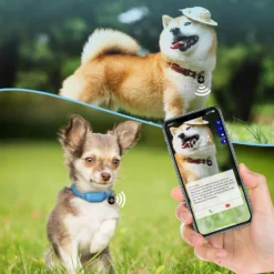 PATPET P680 NFC Pet ID Tag Bark & Remote Dog Training Electric Collar 10 PATPET P680 NFC Pet ID Tag Bark & Remote Dog Training Electric Collar -Pawsphoria Sales Store 522974 PT3. AC SS1800 V1668027277