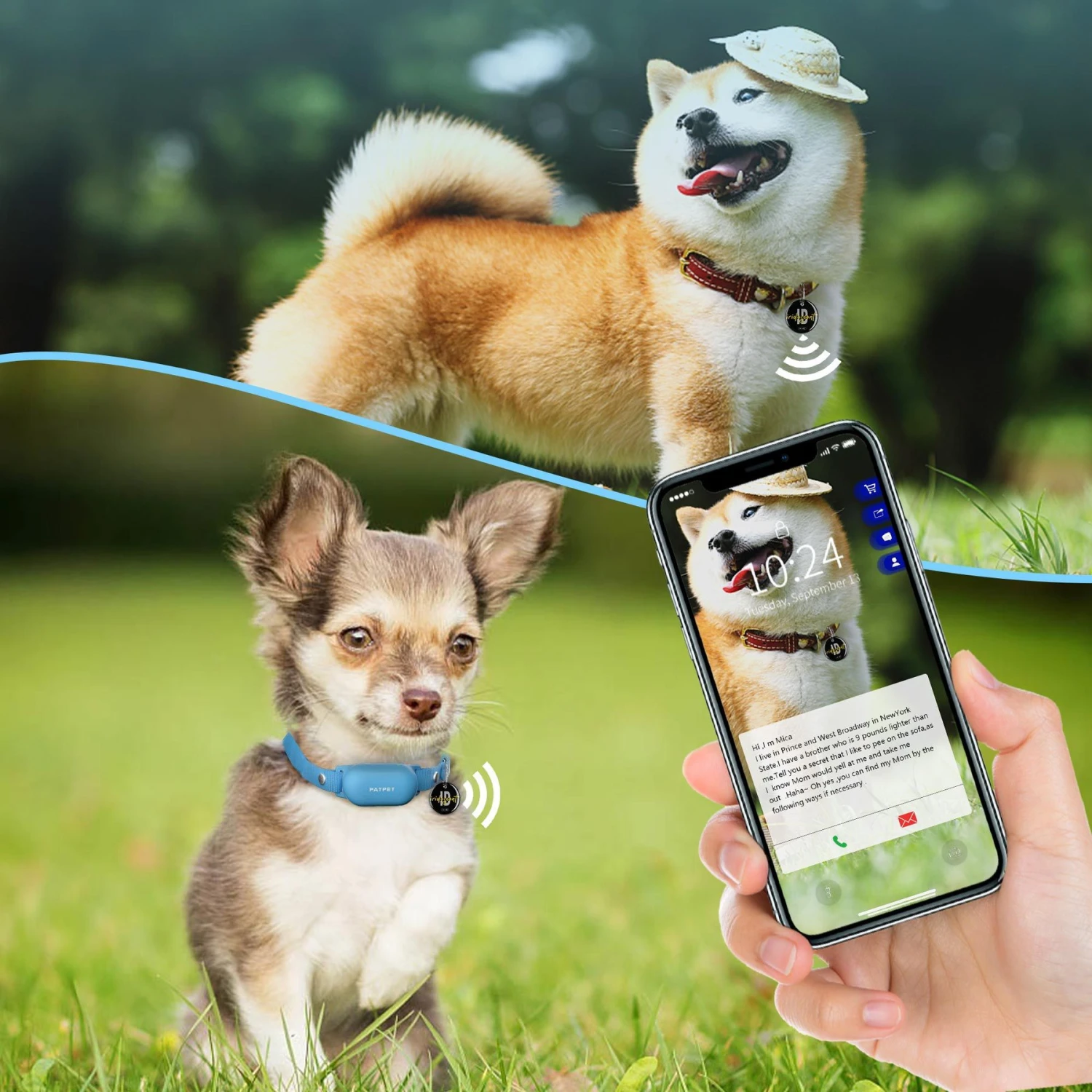 PATPET P680 NFC Pet ID Tag Bark & Remote Dog Training Electric Collar 4 PATPET P680 NFC Pet ID Tag Bark & Remote Dog Training Electric Collar - Image 4