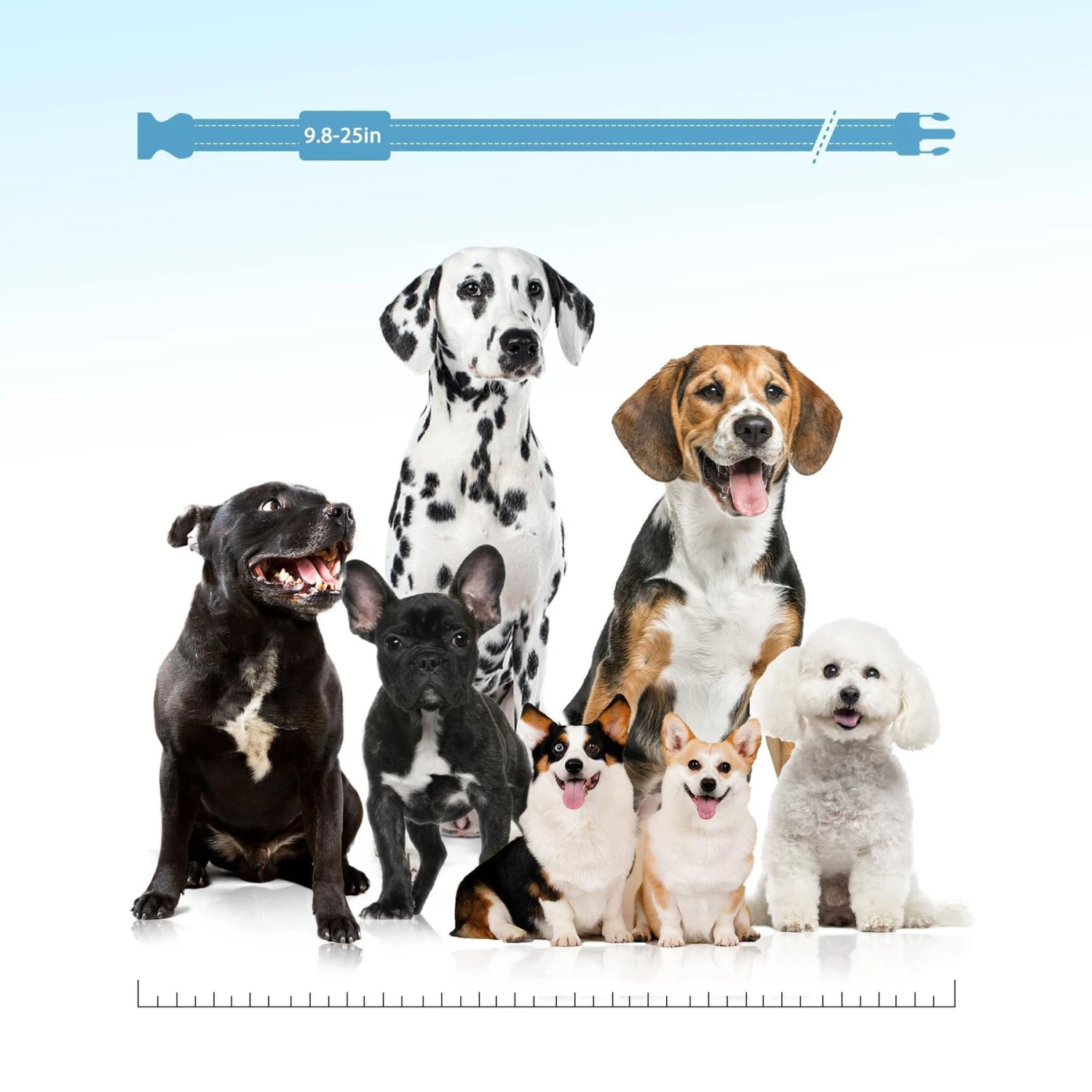 PATPET P680 NFC Pet ID Tag Bark & Remote Dog Training Electric Collar 6 PATPET P680 NFC Pet ID Tag Bark & Remote Dog Training Electric Collar - Image 6