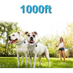 PATPET NFC Pet ID Tag & P651 1000-ft Vibration & Beep Remote Dog Training Collar, Gray, 2 Count -Pawsphoria Sales Store 522990 PT2. AC SS1800 V1668026927