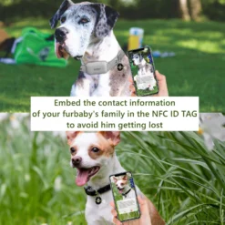 PATPET NFC Pet ID Tag & P651 1000-ft Vibration & Beep Remote Dog Training Collar, Gray, 2 Count -Pawsphoria Sales Store 522990 PT3. AC SS1800 V1668027276