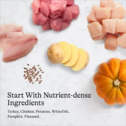 American Journey Turkey Recipe Grain-Free Canned Dog Food, 12.5-oz & American Journey Limited Ingredient Turkey & Sweet Potato Recipe Grain-Free Dry Dog Food -Pawsphoria Sales Store 523078 PT7. AC SS1800 V1694611164