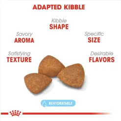 Royal Canin Size Health Nutrition X-Small Aging 12+ Dry Dog Food -Pawsphoria Sales Store 52398 PT2. AC SS1800 V1697216176