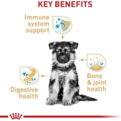 Royal Canin Breed Health Nutrition German Shepherd Puppy Dry Dog Food 13 Royal Canin Breed Health Nutrition German Shepherd Puppy Dry Dog Food -Pawsphoria Sales Store 52513 PT4. AC SS1800 V1697212337