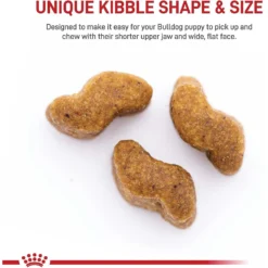 Royal Canin Breed Health Nutrition Bulldog Puppy Dry Dog Food 12 Royal Canin Breed Health Nutrition Bulldog Puppy Dry Dog Food -Pawsphoria Sales Store 52515 PT3. AC SS1800 V1697217013