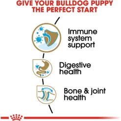 Royal Canin Breed Health Nutrition Bulldog Puppy Dry Dog Food 13 Royal Canin Breed Health Nutrition Bulldog Puppy Dry Dog Food -Pawsphoria Sales Store 52515 PT4. AC SS1800 V1697213712