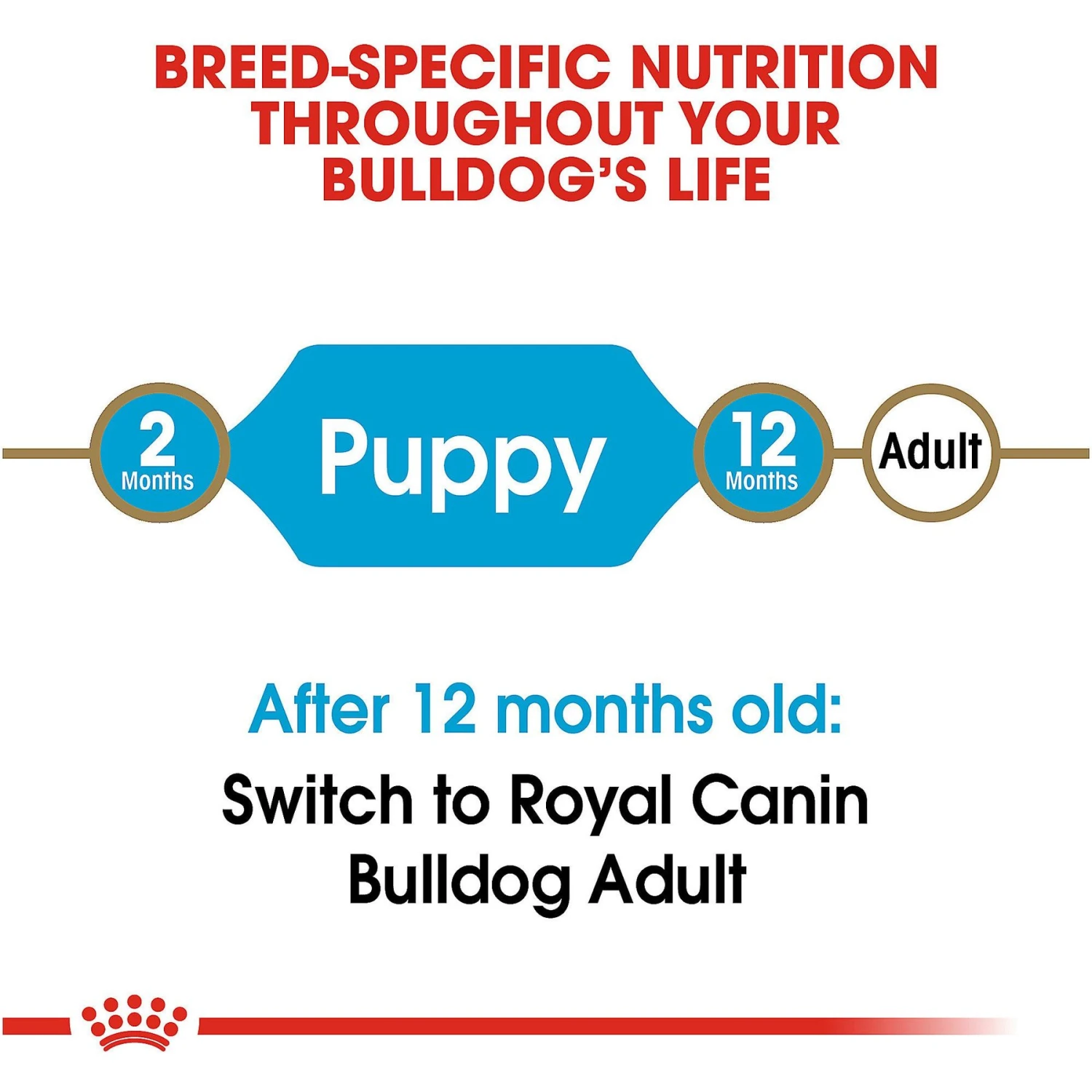 Royal Canin Breed Health Nutrition Bulldog Puppy Dry Dog Food 7 Royal Canin Breed Health Nutrition Bulldog Puppy Dry Dog Food - Image 7