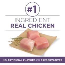 Purina ONE SmartBlend Vibrant Maturity 7+ Formula Adult Premium Dry Dog Food -Pawsphoria Sales Store 52544 PT2. AC SS1800 V1676317091
