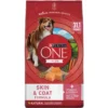 Purina ONE +Plus Adult Skin & Coat Formula Dry Dog Food