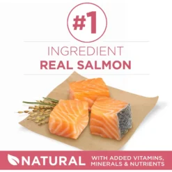 Purina ONE +Plus Adult Skin & Coat Formula Dry Dog Food 11 Purina ONE +Plus Adult Skin & Coat Formula Dry Dog Food -Pawsphoria Sales Store 52545 PT2. AC SS1800 V1657658481