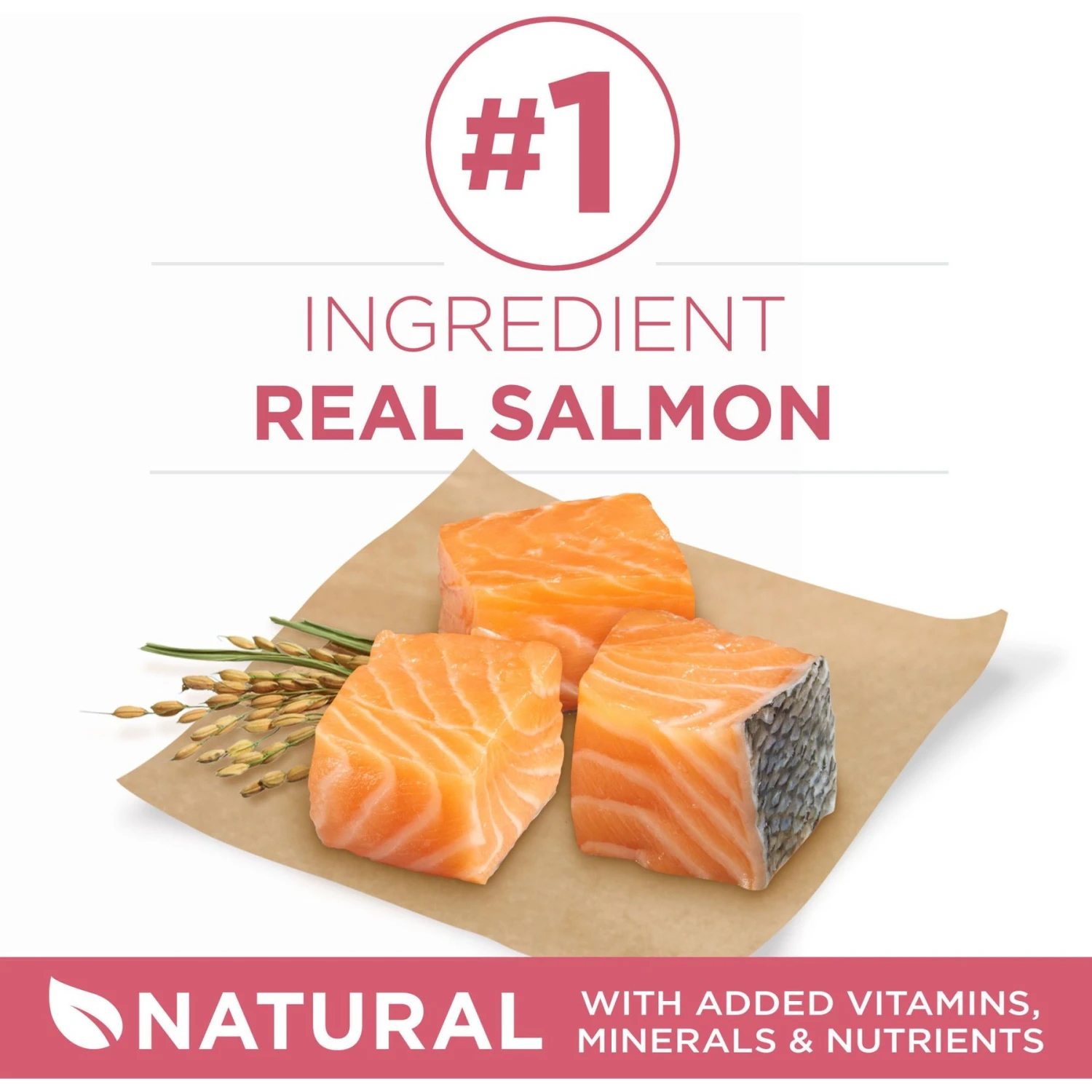 Purina ONE +Plus Adult Skin & Coat Formula Dry Dog Food 3 Purina ONE +Plus Adult Skin & Coat Formula Dry Dog Food - Image 3