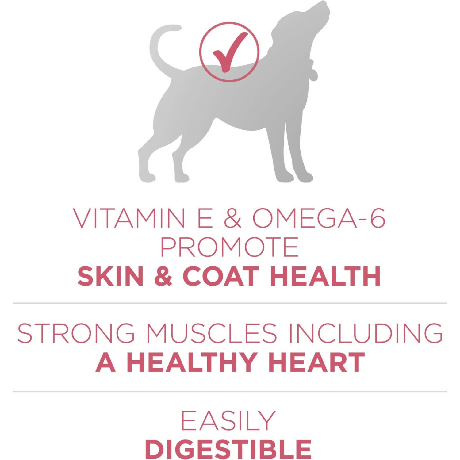 Purina ONE +Plus Adult Skin & Coat Formula Dry Dog Food 4 Purina ONE +Plus Adult Skin & Coat Formula Dry Dog Food - Image 4