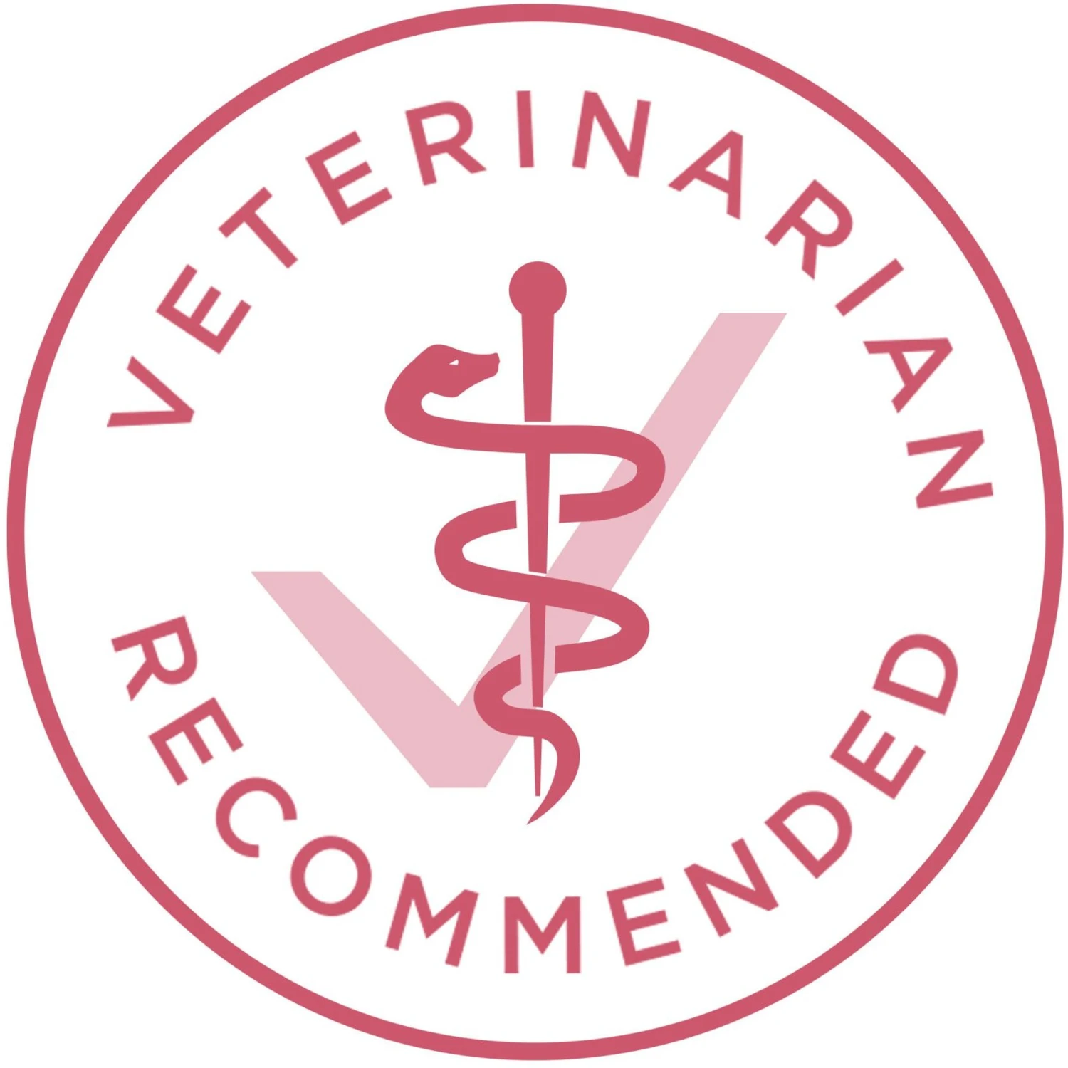 Purina ONE +Plus Adult Skin & Coat Formula Dry Dog Food 6 Purina ONE +Plus Adult Skin & Coat Formula Dry Dog Food - Image 6