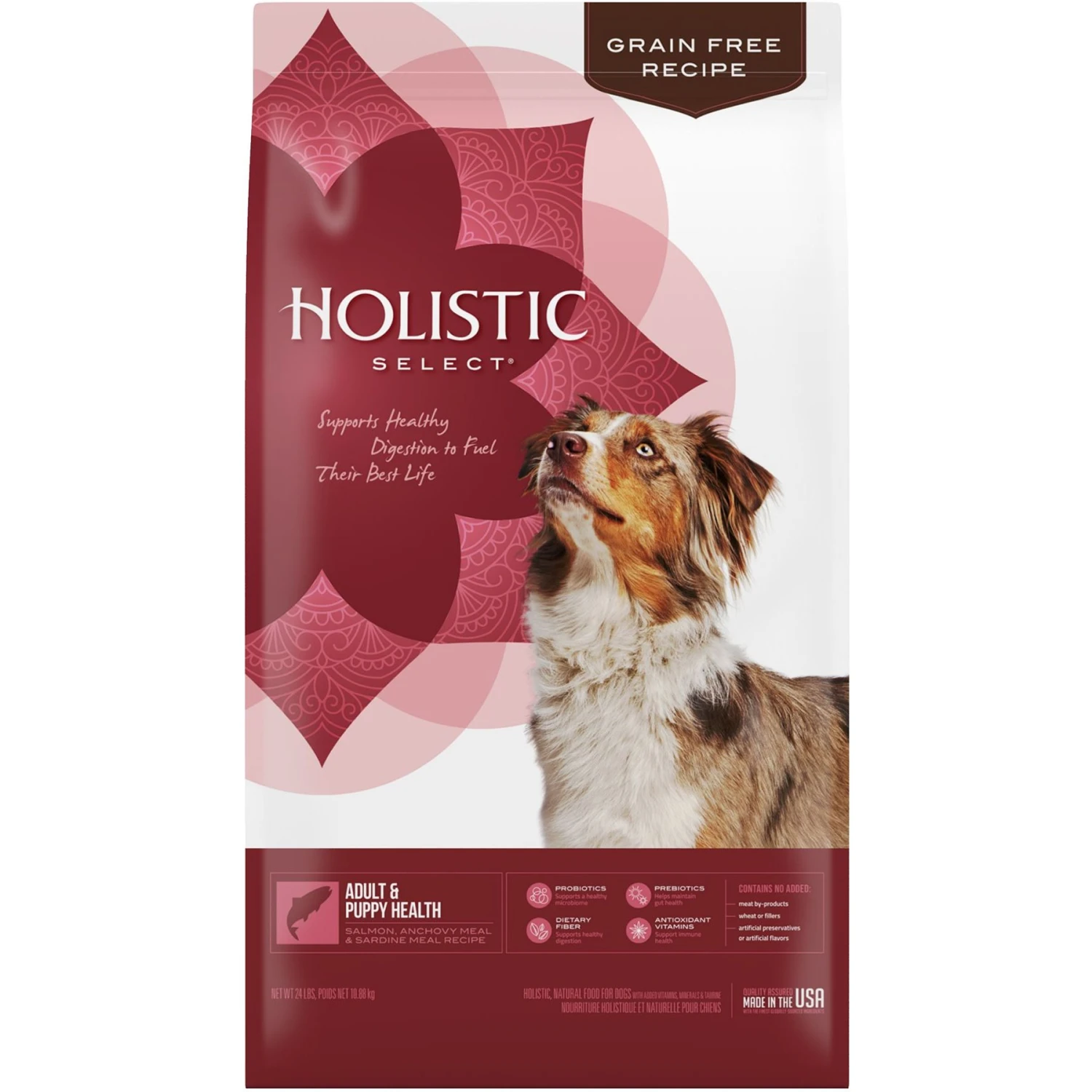 Holistic Select Adult & Puppy Grain-Free Salmon, Anchovy & Sardine Meal Recipe Dry Dog Food 1 Holistic Select Adult & Puppy Grain-Free Salmon, Anchovy & Sardine Meal Recipe Dry Dog Food