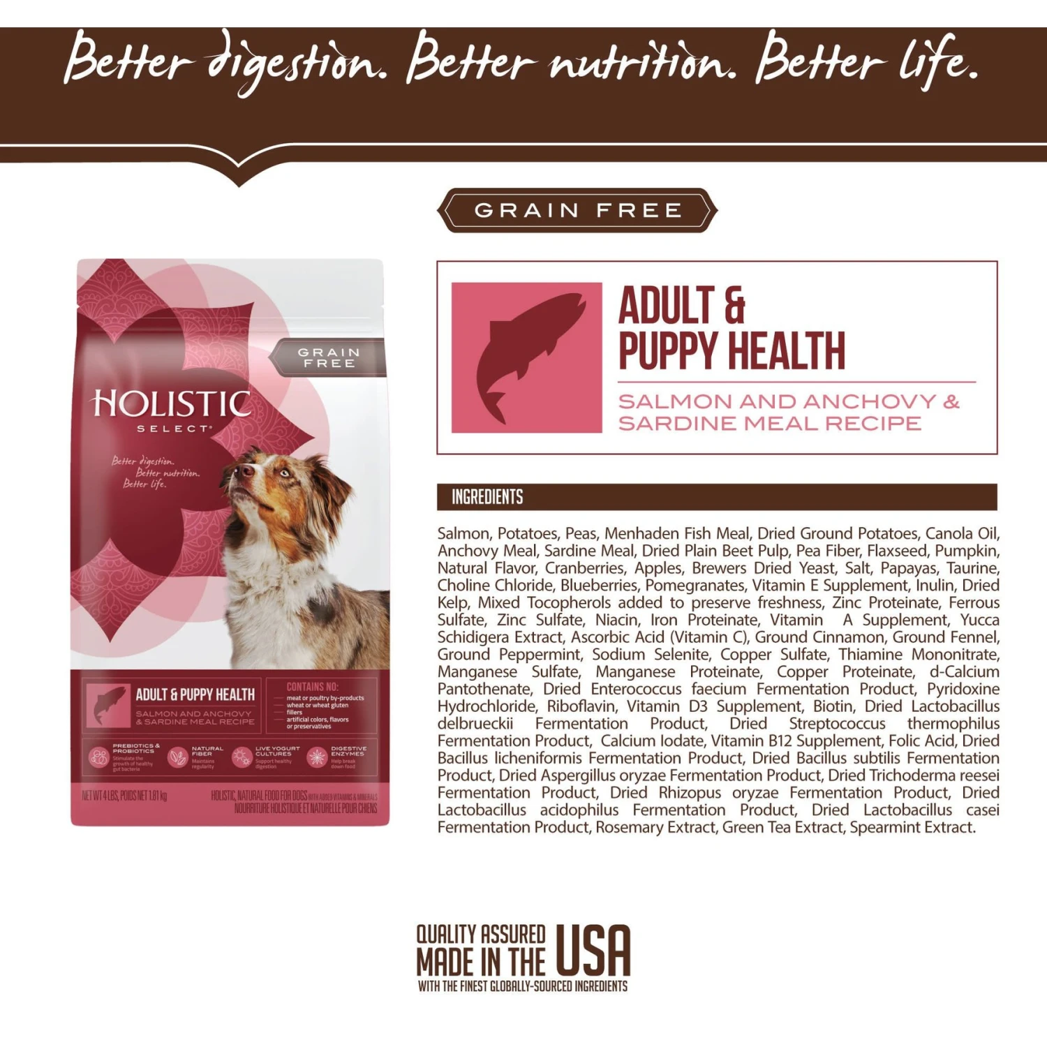 Holistic Select Adult & Puppy Grain-Free Salmon, Anchovy & Sardine Meal Recipe Dry Dog Food 3 Holistic Select Adult & Puppy Grain-Free Salmon, Anchovy & Sardine Meal Recipe Dry Dog Food - Image 3