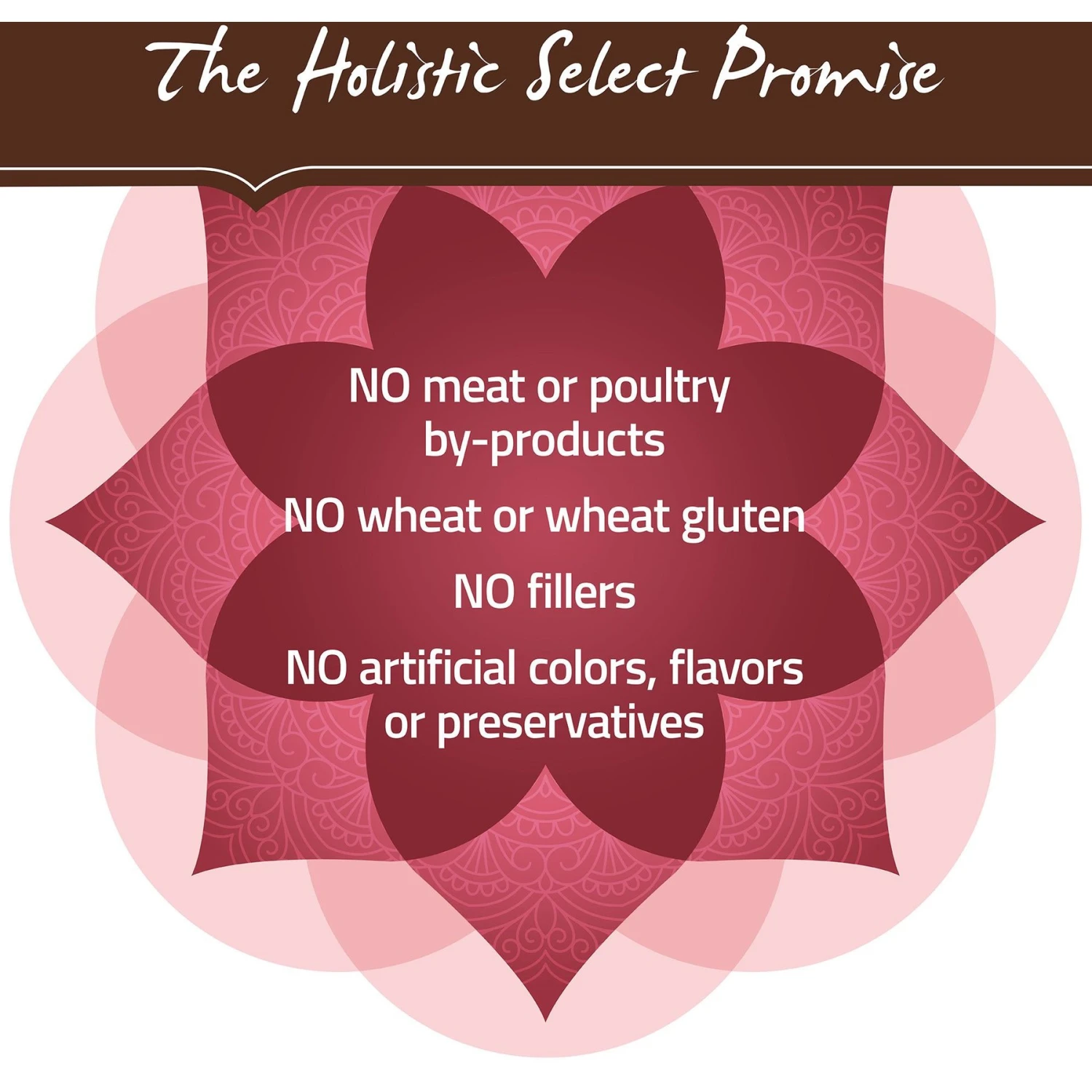 Holistic Select Adult & Puppy Grain-Free Salmon, Anchovy & Sardine Meal Recipe Dry Dog Food 6 Holistic Select Adult & Puppy Grain-Free Salmon, Anchovy & Sardine Meal Recipe Dry Dog Food - Image 6