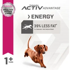 Eukanuba Fit Body Weight Control Small Breed Dry Dog Food -Pawsphoria Sales Store 533158 PT5. AC SS1800 V1652738210