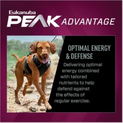 Eukanuba Premium Performance 26/16 EXERCISE Adult Dry Dog Food 12 Eukanuba Premium Performance 26/16 EXERCISE Adult Dry Dog Food -Pawsphoria Sales Store 533182 PT3. AC SS1800 V1677085124