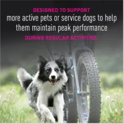 Eukanuba Premium Performance 26/16 EXERCISE Adult Dry Dog Food 14 Eukanuba Premium Performance 26/16 EXERCISE Adult Dry Dog Food -Pawsphoria Sales Store 533182 PT5. AC SS1800 V1677085239