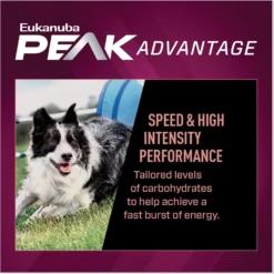 Eukanuba Premium Performance 21/13 SPRINT Adult Dry Dog Food 12 Eukanuba Premium Performance 21/13 SPRINT Adult Dry Dog Food -Pawsphoria Sales Store 533190 PT3. AC SS1800 V1677085844