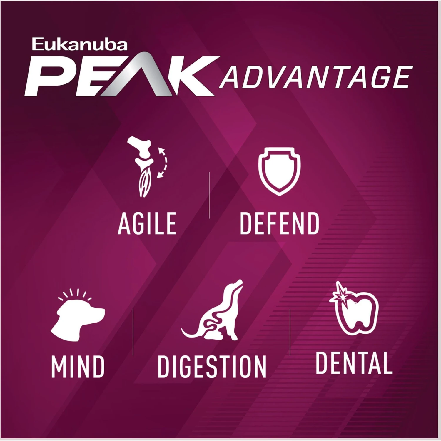 Eukanuba Premium Performance 21/13 SPRINT Adult Dry Dog Food 5 Eukanuba Premium Performance 21/13 SPRINT Adult Dry Dog Food - Image 5