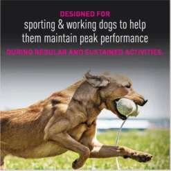 Eukanuba Premium Performance 30/20 SPORT Adult Dry Dog Food -Pawsphoria Sales Store 533198 PT8. AC SS1800 V1677085178