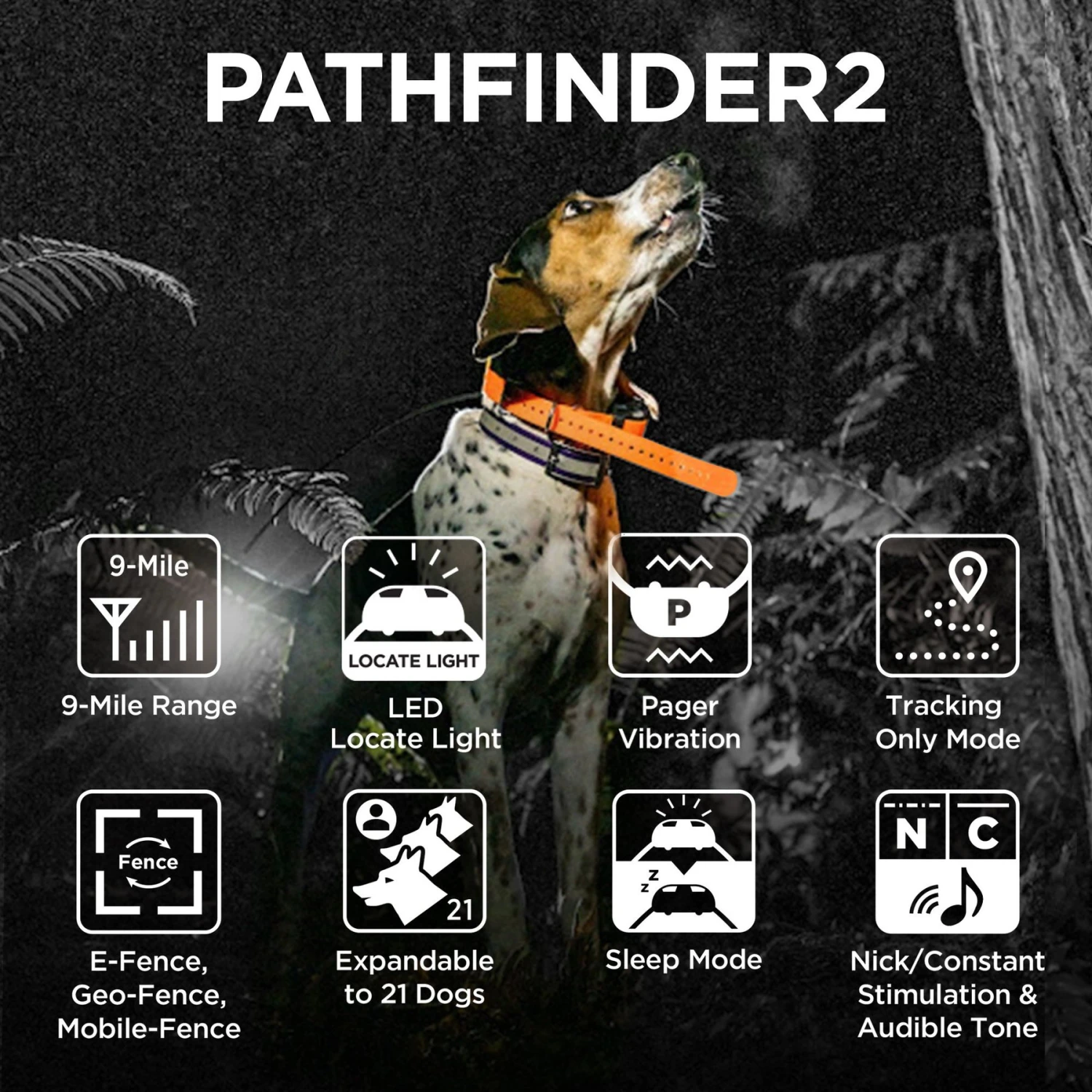Dogtra Pathfinder2 Remote Dog Training & GPS Additional Receiver Collar 4 Dogtra Pathfinder2 Remote Dog Training & GPS Additional Receiver Collar - Image 4