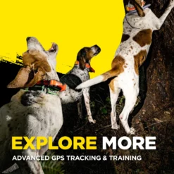 Dogtra Pathfinder2 Remote Dog Training & GPS Additional Receiver Collar 15 Dogtra Pathfinder2 Remote Dog Training & GPS Additional Receiver Collar -Pawsphoria Sales Store 534510 PT6. AC SS1800 V1657658787