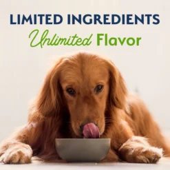 Natural Balance Limited Ingredient Vegetarian Recipe Dry Dog Food -Pawsphoria Sales Store 537302 PT7. AC SS1800 V1652738785