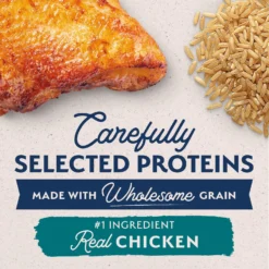 Natural Balance Limited Ingredient Chicken & Brown Rice Recipe Dry Dog Food -Pawsphoria Sales Store 537334 PT3. AC SS1800 V1652739095
