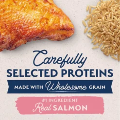 Natural Balance Limited Ingredient Salmon & Brown Rice Recipe Dry Dog Food -Pawsphoria Sales Store 537342 PT3. AC SS1800 V1652773606