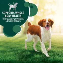 Iams Advanced Immune Health Chicken & Superfoods Adult Dry Dog Food -Pawsphoria Sales Store 550606 PT8. AC SS1800 V1663106720