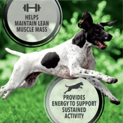 Iams Proactive Health Active Chicken & Turkey Recipe High Protein Adult Dry Dog Food -Pawsphoria Sales Store 551510 PT2. AC SS1800 V1657659451