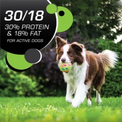 Iams Proactive Health Active Chicken & Turkey Recipe High Protein Adult Dry Dog Food -Pawsphoria Sales Store 551510 PT4. AC SS1800 V1657748503