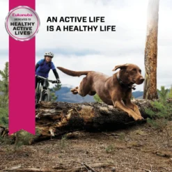 Eukanuba Adult Large Breed Lamb 1st Ingredient Dry Dog Food -Pawsphoria Sales Store 552366 PT7. AC SS1800 V1677085791