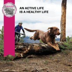 Eukanuba Senior Large Breed Dry Dog Food -Pawsphoria Sales Store 552374 PT7. AC SS1800 V1677085790