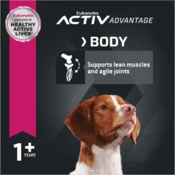 Eukanuba Adult Medium Breed Dry Dog Food -Pawsphoria Sales Store 552470 PT4. AC SS1800 V1677085126