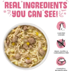 Weruva Amazon Livin' With Chicken & Chicken Liver In Pumpkin Soup Grain-Free Canned Dog Food -Pawsphoria Sales Store 55590 PT2. AC SS1800 V1666651508