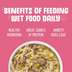 Weruva Amazon Livin' With Chicken & Chicken Liver In Pumpkin Soup Grain-Free Canned Dog Food -Pawsphoria Sales Store 55590 PT4. AC SS1800 V1666652574