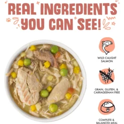 Weruva Jammin' Salmon With Chicken & Salmon In Pumpkin Soup Grain-Free Canned Dog Food 11 Weruva Jammin' Salmon With Chicken & Salmon In Pumpkin Soup Grain-Free Canned Dog Food -Pawsphoria Sales Store 55596 PT2. AC SS1800 V1641841342