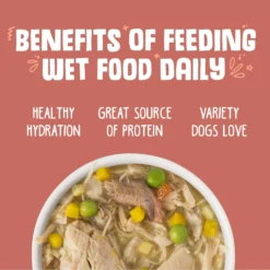 Weruva Jammin' Salmon With Chicken & Salmon In Pumpkin Soup Grain-Free Canned Dog Food 13 Weruva Jammin' Salmon With Chicken & Salmon In Pumpkin Soup Grain-Free Canned Dog Food -Pawsphoria Sales Store 55596 PT4. AC SS1800 V1641838291